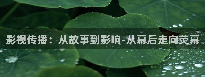 星空影院热门电影有哪些：影视传播：从故事到影响-从幕后走向荧幕