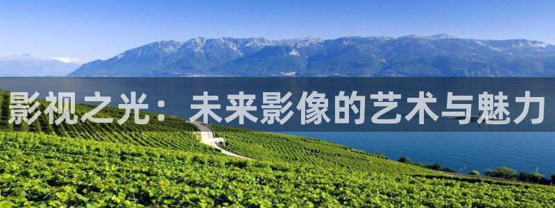 《无所畏惧2》免费观看星空影院：影视之光：未来影像的艺术与魅力