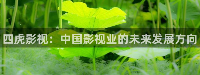 雁回时星空影院免费观看：四虎影视：中国影视业的未来发展方向
