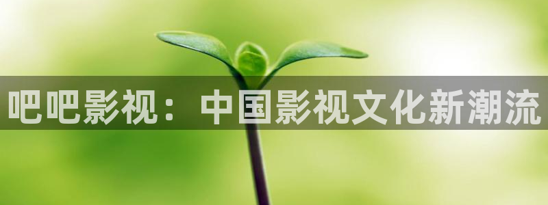星空影院免费高清视频：吧吧影视：中国影视文化新潮流