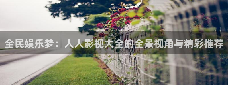 星空影院热门电影有哪些：全民娱乐梦：人人影视大全的全景视角与精彩推荐