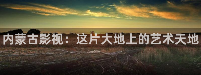 星空影院在线电影电视剧免费观看：内蒙古影视：这片大地上的艺术天地