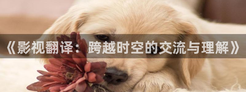 天美麻花星空mv免费：《影视翻译：跨越时空的交流与理解》