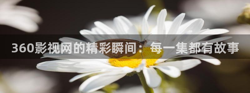 星空电影院免费观看：360影视网的精彩瞬间：每一集都有故事