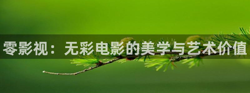 星空影院旧版：零影视：无彩电影的美学与艺术价值