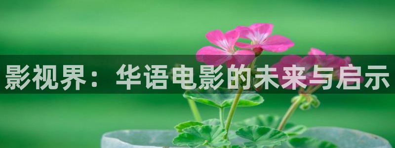 95版包青天吕良伟国语版星空影院：影视界：华语电影的未来与启示